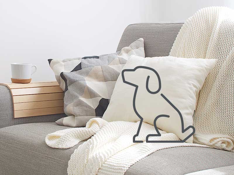 Image of sofa with dog icon
